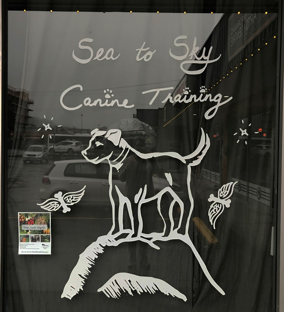 Sea to Sky Canine Training
