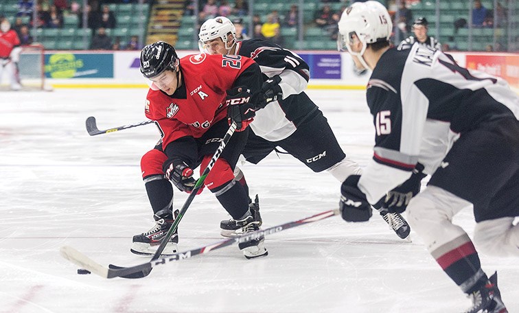 Citizen Photo by James Doyle. Prince George Cougars foward Ilijah Colina battles for the puck against a Vancouver Giants defender on Saturday night at CN Centre.