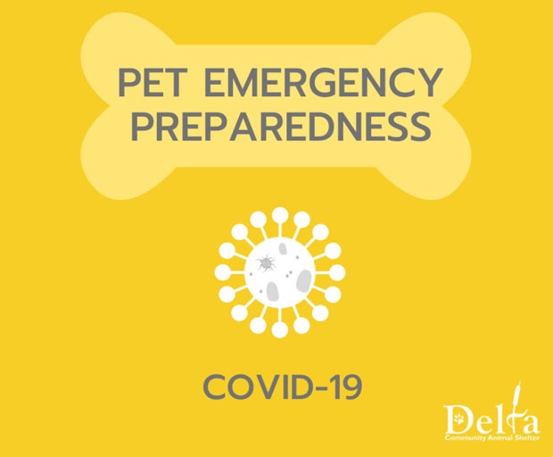 pet emergency preparedness