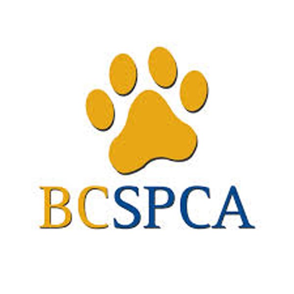 SPCA-shelters.26_3182020.jpg