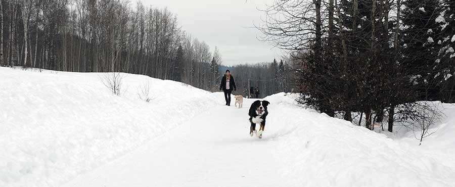 COVID-walking.26_3192020.jpg