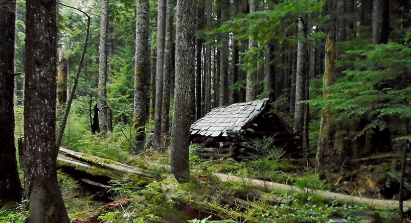 Mossom Creek Trail Eagle Bluff Trail Anmore BC