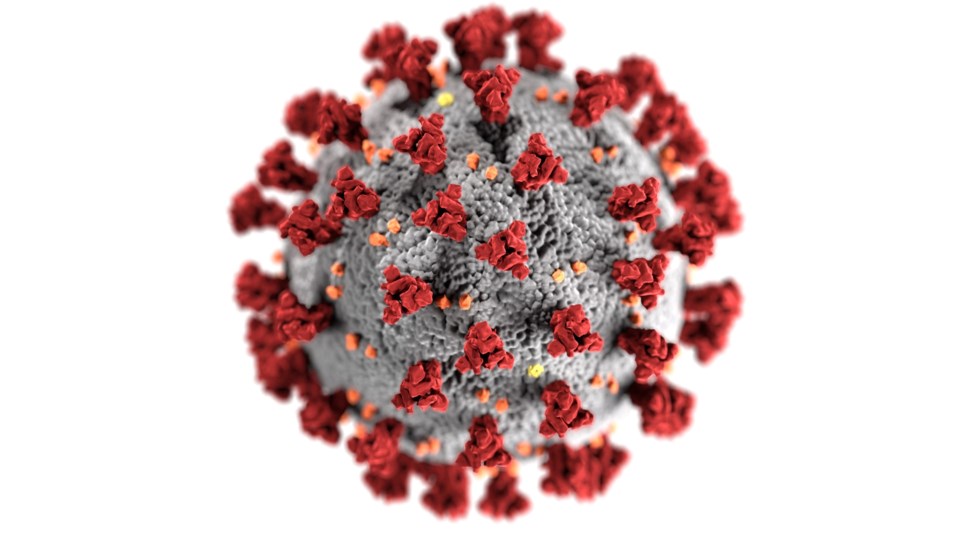 coronavirus COVID-19