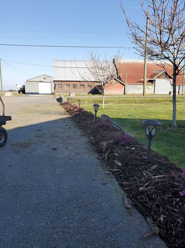 gardening