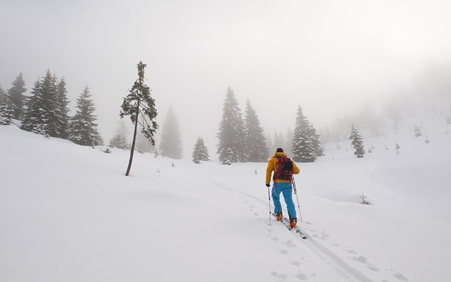 Whistler Blackcomb