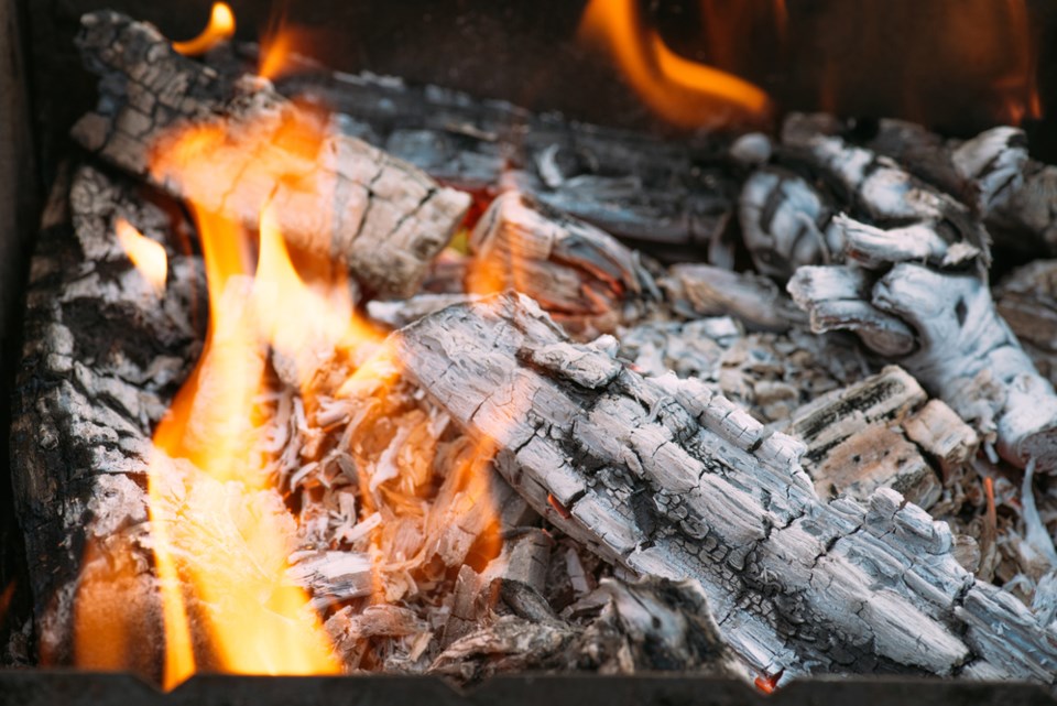 Firewood WEB
