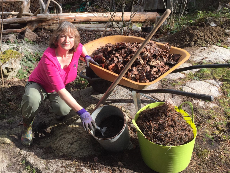 Building soil and healthy gardens in Powell River Powell River Peak