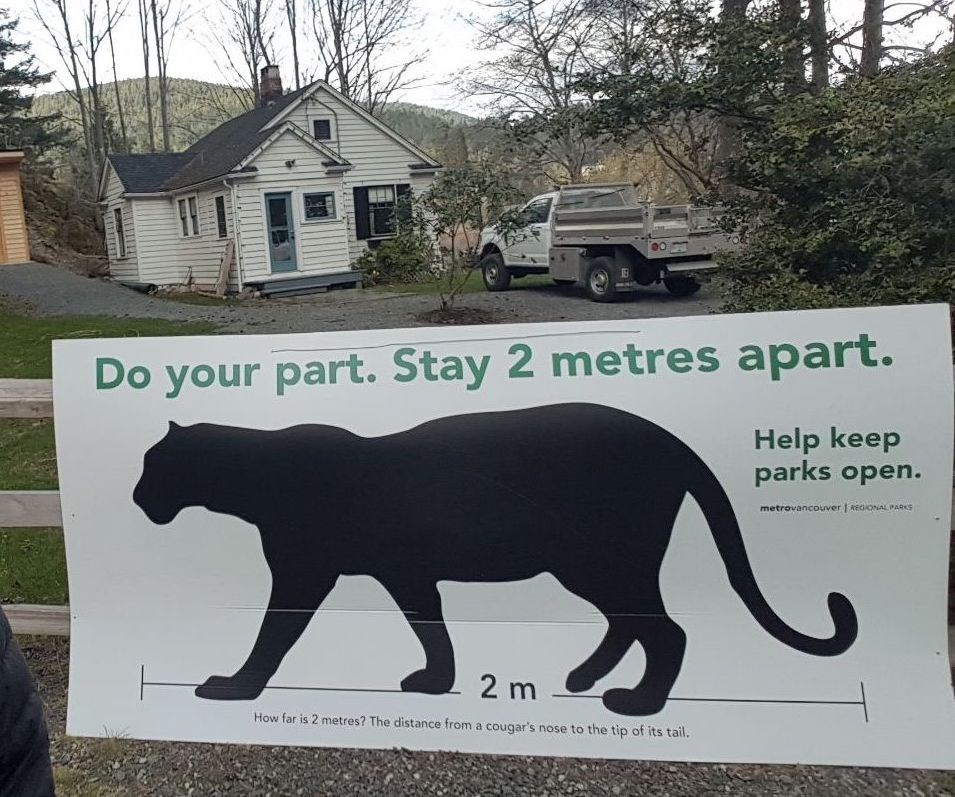 Two-metre long cougar on a sign in Crippen Park