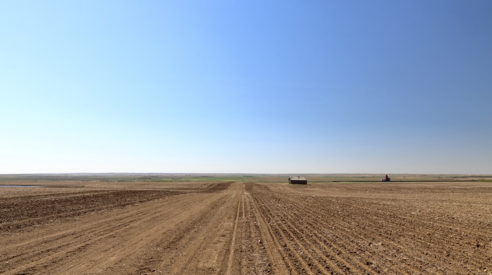 Farmland fields Saskatchewan