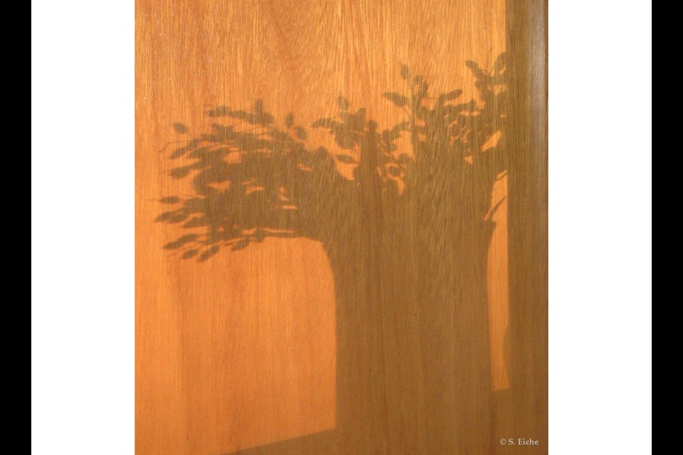 A vase of flowers casts its shadow on a door. Photo: © S. Eiche