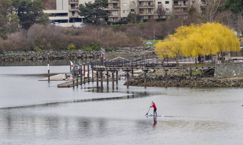 a3 04092020 paddle boarder.jpg