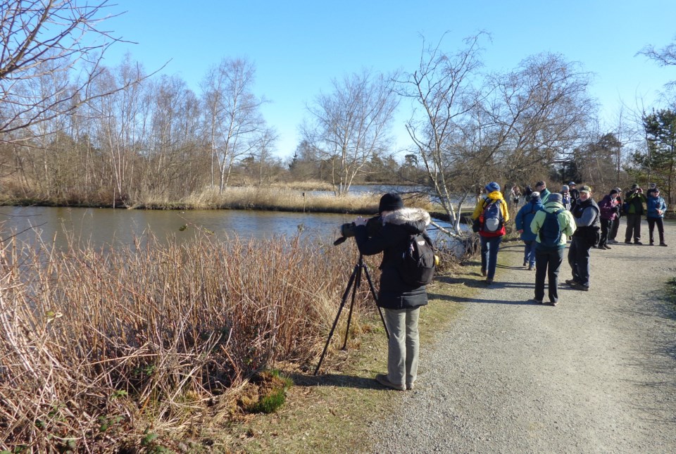 Reifel Bird Sanctuary