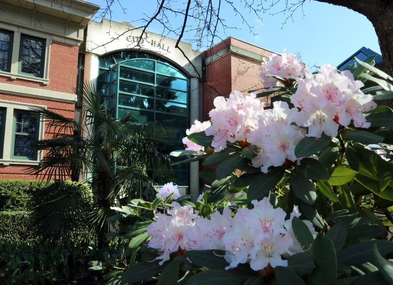 Port Coquitlam council has approved plans to turn McAllister Avenue (next to PoCo city hall), into a pedestrian-focused, tree-lined avenue with one lane left open for cars.