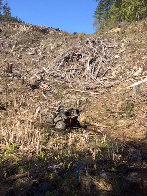 Two people were rescued from a swamp in Halfmoon Bay after their ATV rolled down an embankment on Wednesday, April 15.