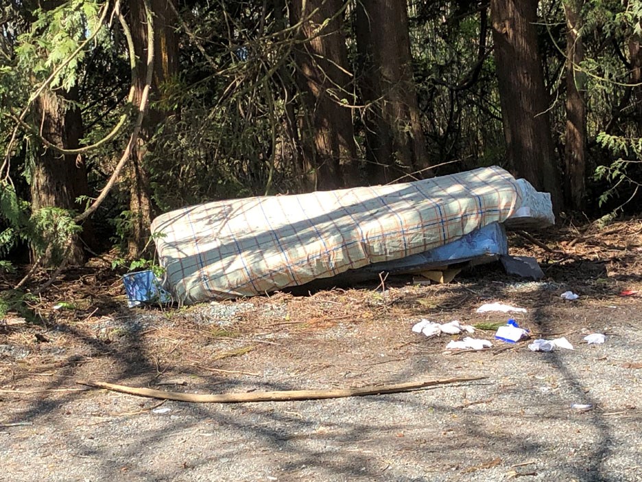 burnaby dumping