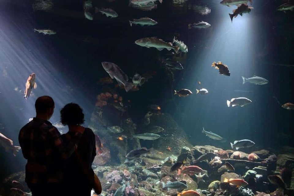 Vancouver Aquarium