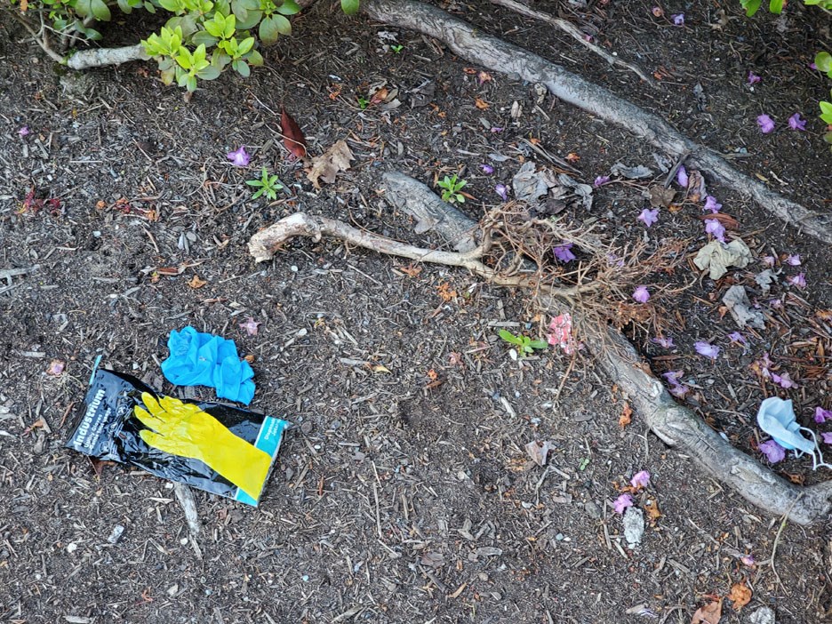 glove litter burnaby covid-19