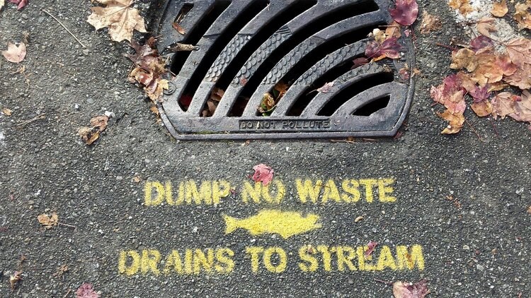 Be careful of what you dump down the storm drain, those toxic chemicals can end up in a local stream.