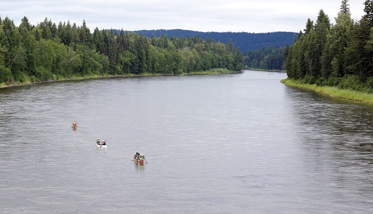 Nechako WEB