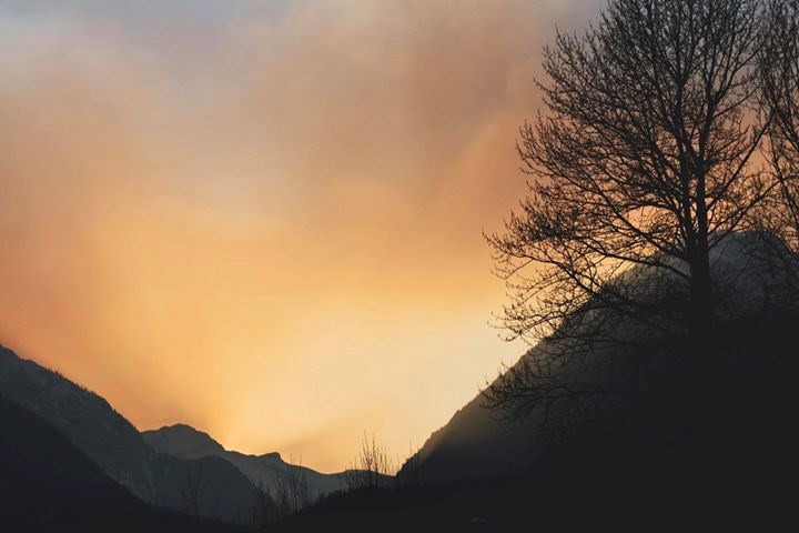 Magee Road fire