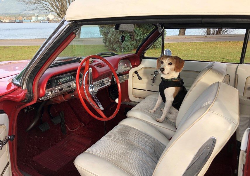 WHAT'S IN YOUR GARAGE: Bill Pomeroy's 1963 Corvair_0