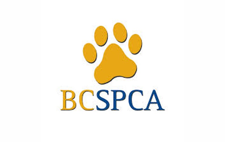 BC SPCA logo WEB