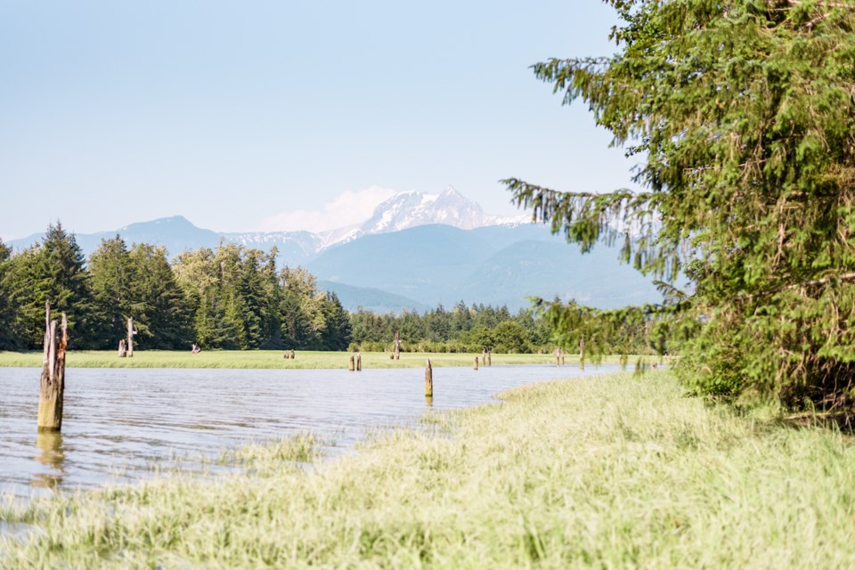 squamish estuary