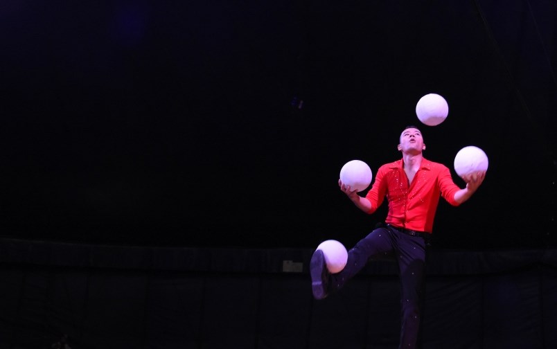 Osorio circus photo