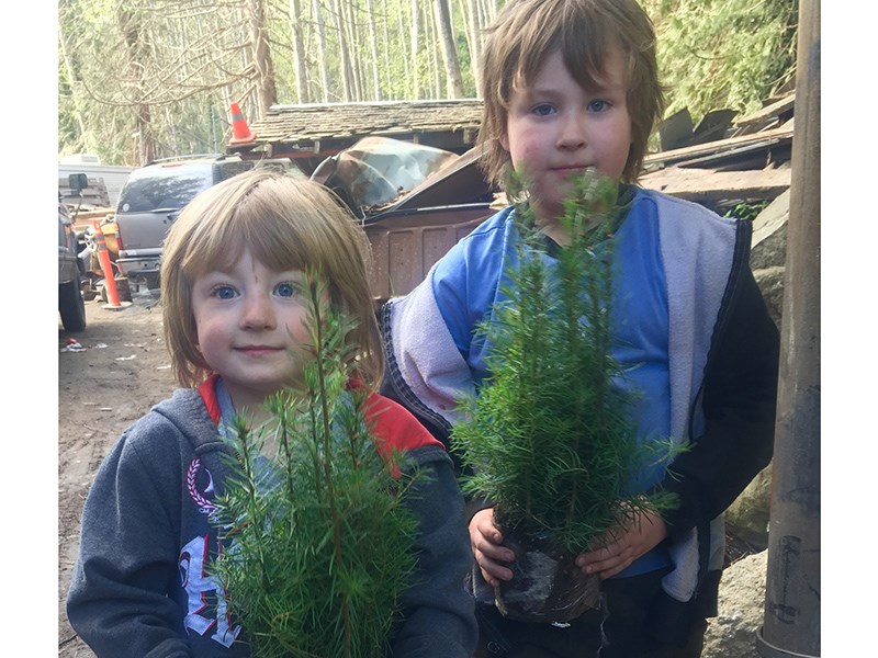 Malaspina Land Conservancy Society Powell River