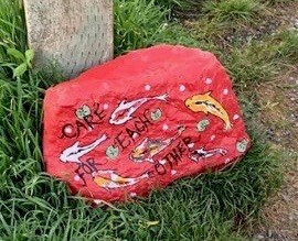 Rocks