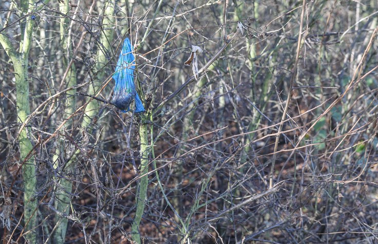 Dog waste bag in the wild