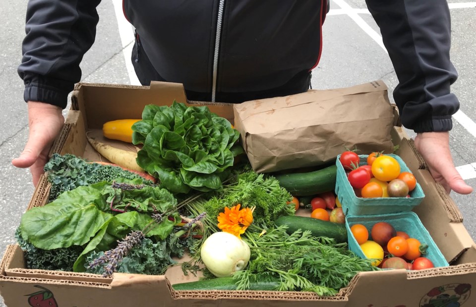 A bunch of veggies in a box