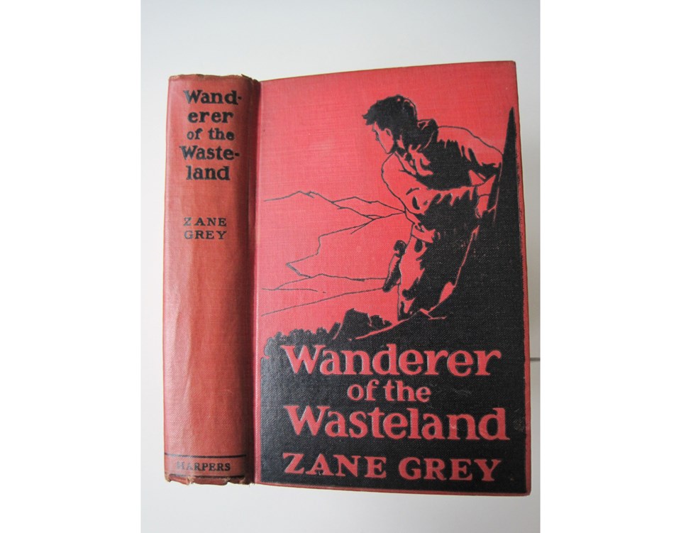 Wanderer of the Wasteland