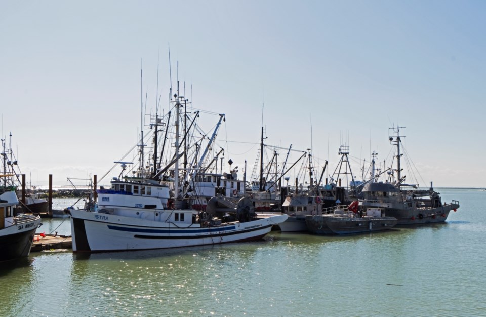 fishing boats steveston harbour