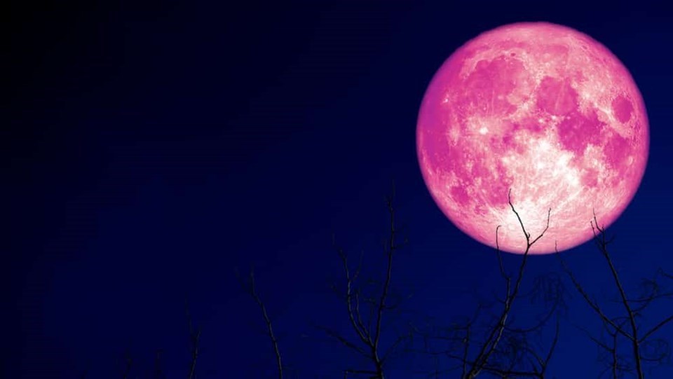 Strawberry Moon