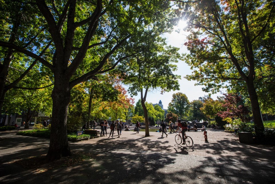 a10 05142020 uvic trees.jpg