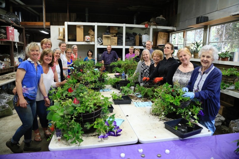 Hanging baskets New Westminster greenhouse