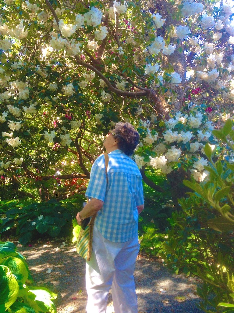 Woman gazing up at rhodos