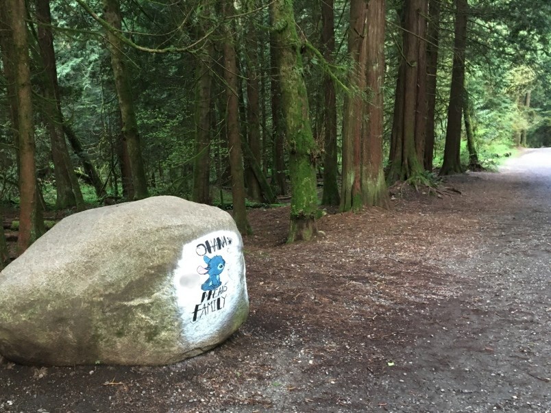 A rock painted in Mundy Park, one of many found along Tri-City trails meant to raise peoples' spirit