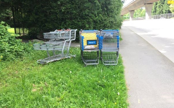 shopping carts burnaby