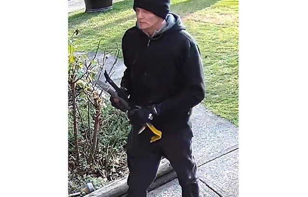 Richmond RCMP are asking for the public's help in identifying three suspects in a series of burglaries that took place in the 11000 block of Oldfield Avenue in November 2019.