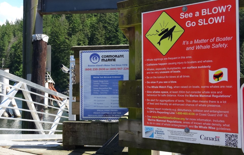 Signs explaining the proximity to whales rules