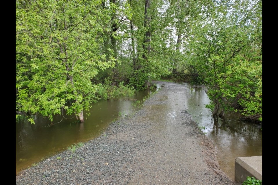 Floodwater surrounds a trail at Cottonwood Island Park near downtown Prince George.