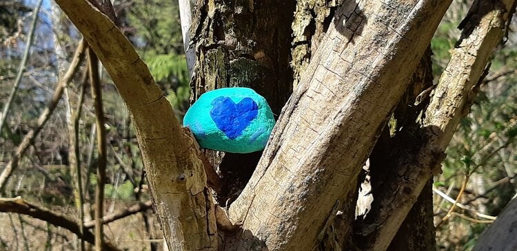 Be careful what paint you use to decorate rocks placed on local trails, according to the Hoy/Scott Watershed Society.