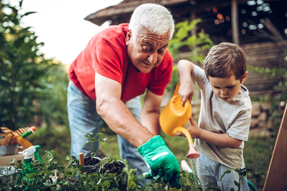 grandpa and grandson gardening