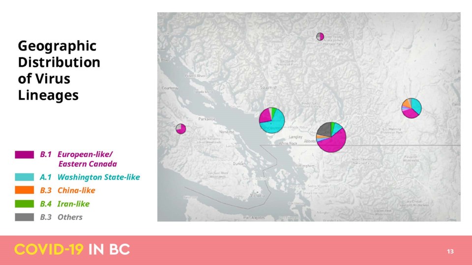 map of COVID strains