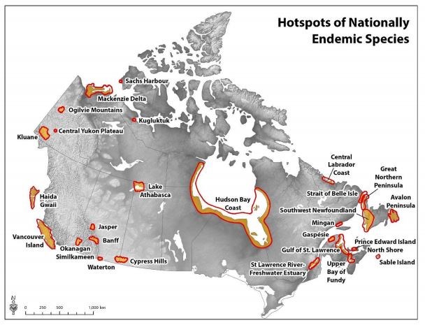 endemic species report hot spots