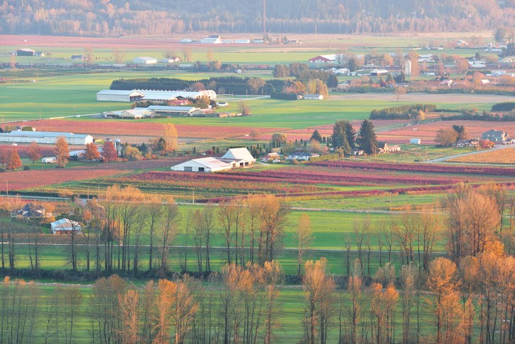 Farm-Fraser-Valley-kongxinzhu-Getty