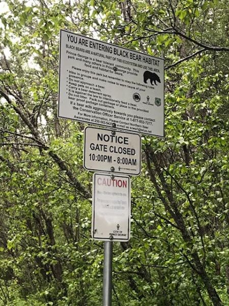 bear-kills-dog.02_6152020.jpg