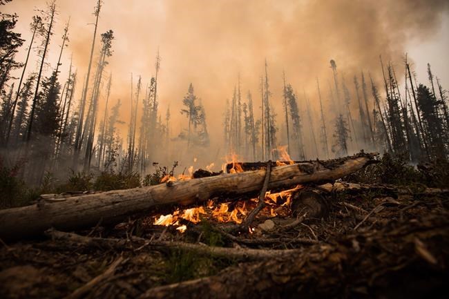 A wildfire burns on a logging road approximately 20 km southwest of Fort St. James, B.C., Wednesday, Aug. 15, 2018. THE CANADIAN PRESS/Darryl Dyck